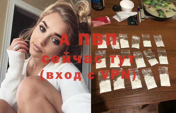 ГАЛЛЮЦИНОГЕННЫЕ ГРИБЫ Бородино