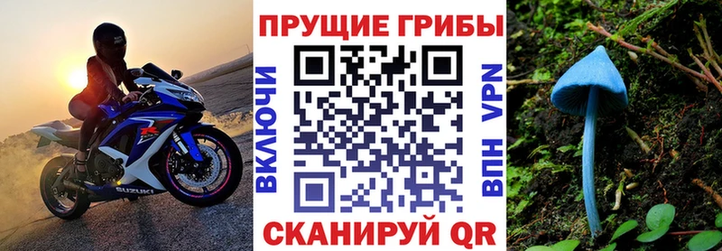 Псилоцибиновые грибы мухоморы  где можно купить   Няндома 